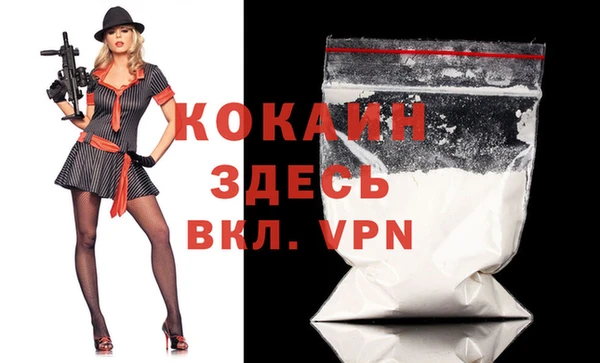 винт Абаза