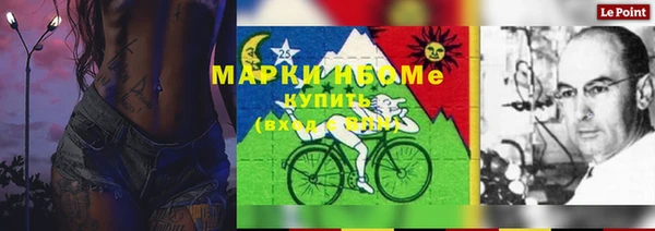 винт Абаза