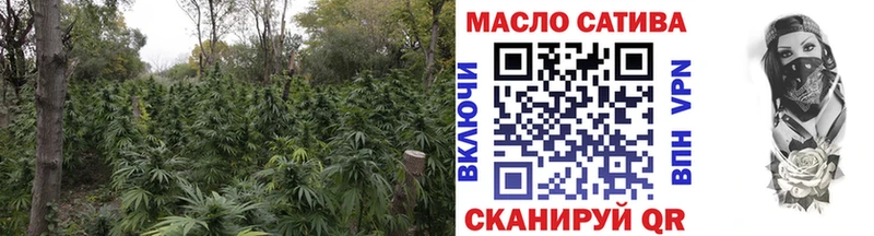 купить наркотики сайты  Сокол  ТГК THC oil 