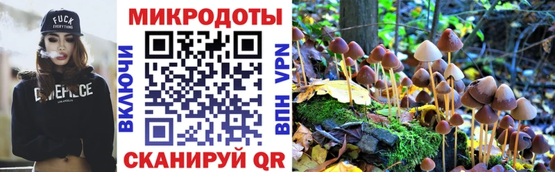 закладки  Сокол  Псилоцибиновые грибы прущие грибы 
