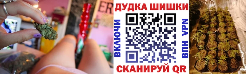 Каннабис марихуана хочу Сокол