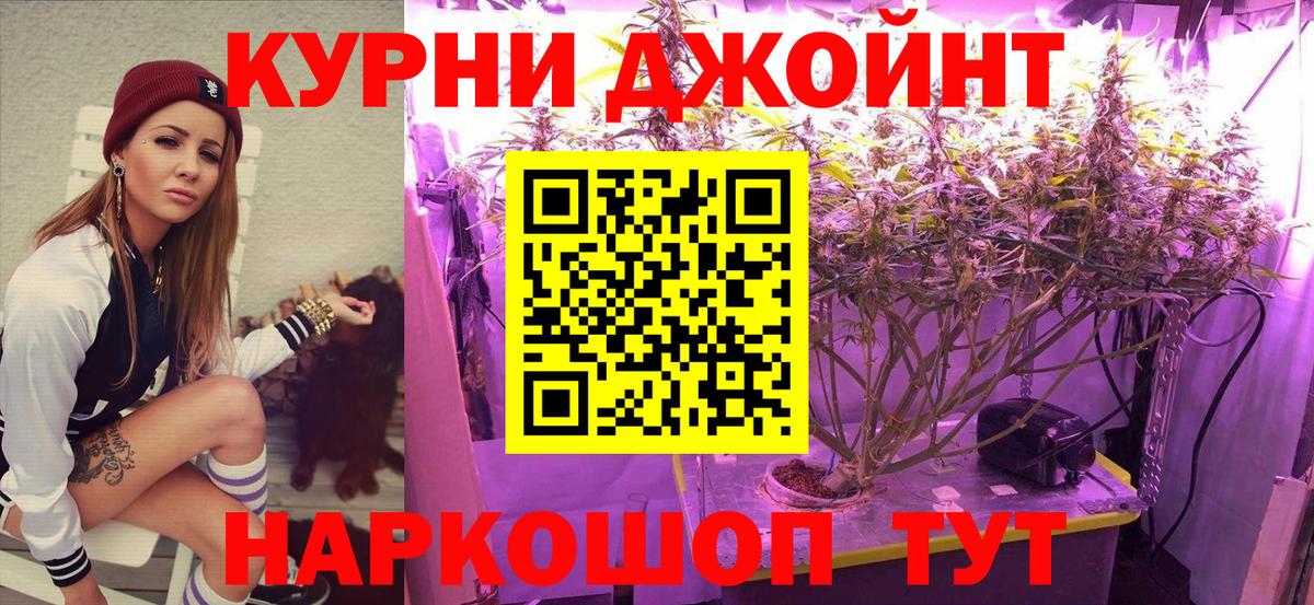 Конопля SATIVA & INDICA Сокол